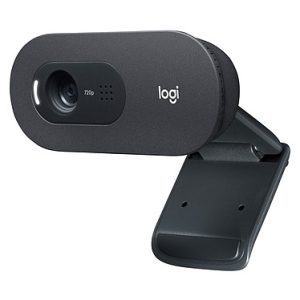 Logitech C505 - Webcam